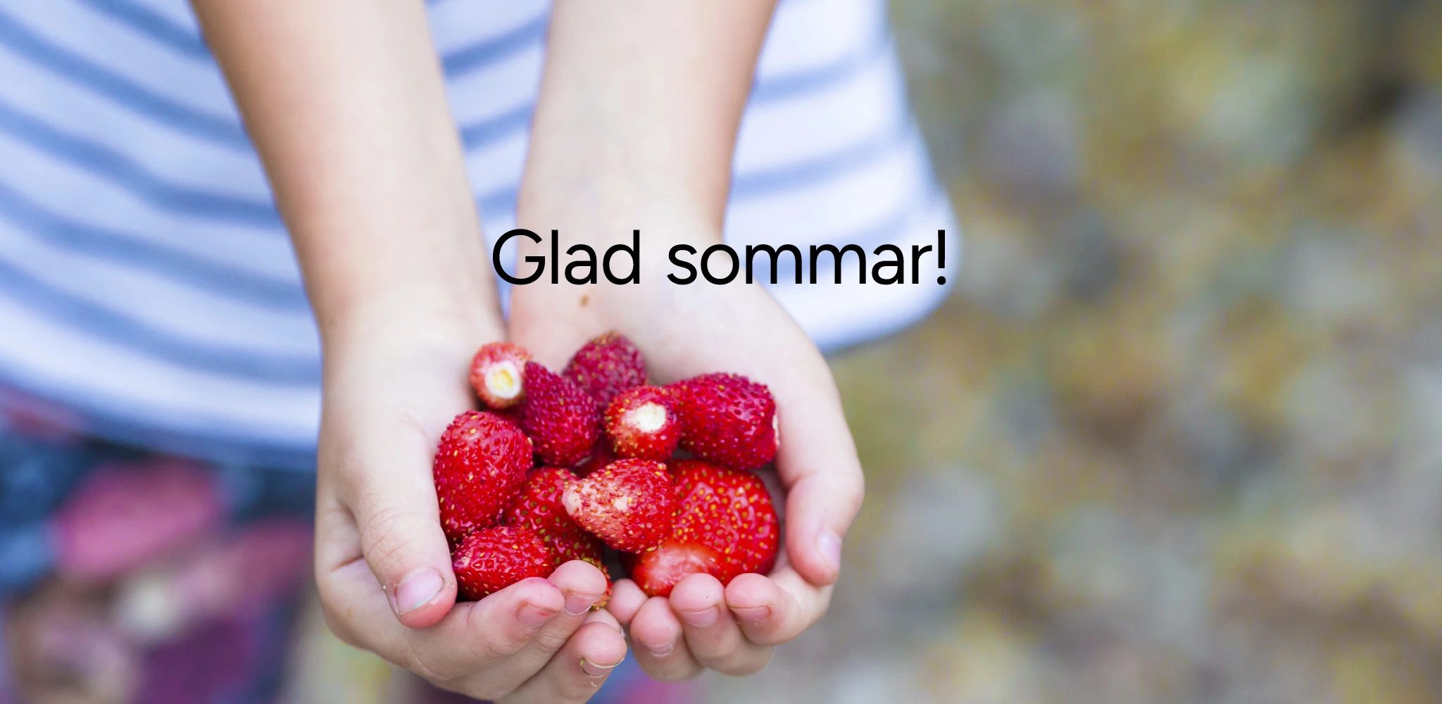 SSC_sommar_2026_2048x1000